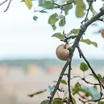 ホテル Zur Linde Dein Self Check In