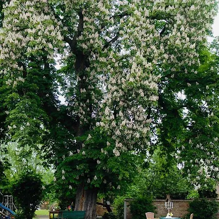 Zur Linde Dein Self Check In