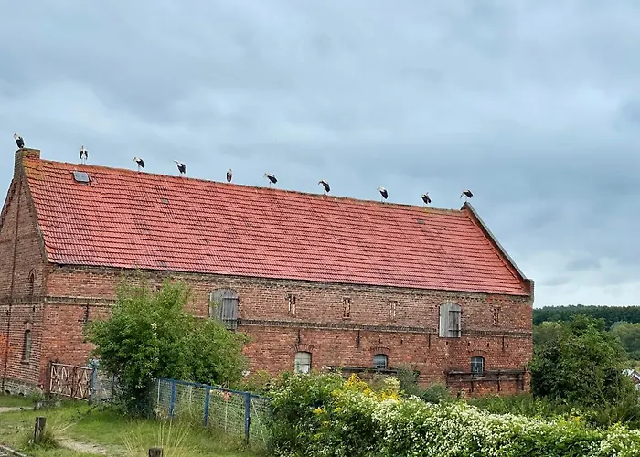 Zur Linde Dein Self Check In 酒店 米兴多夫